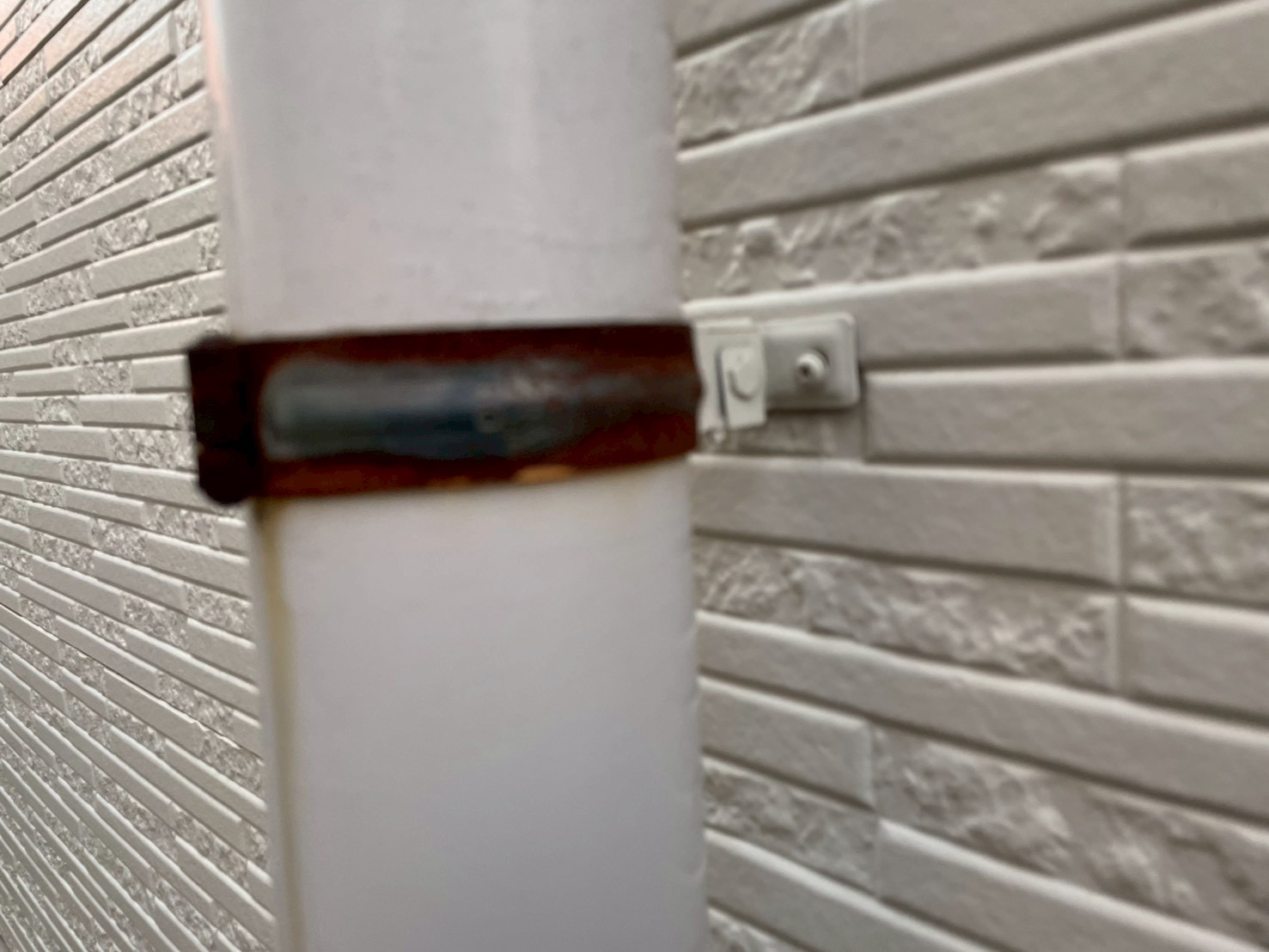 サビたデンデンを近くでチェック